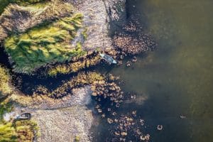 1.º Premiado Lagoa Nuno Mateus