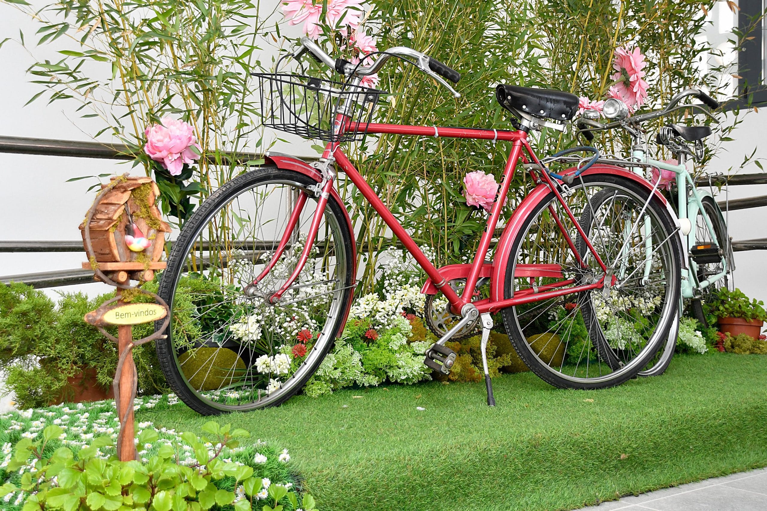 exposição cores e aromas