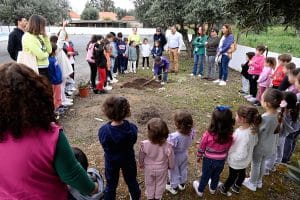 dia mundial da árvore