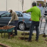 2026060126_ST_ANDRE_PLANTACAO_ARVORES_foto_CMSC_GB (17)