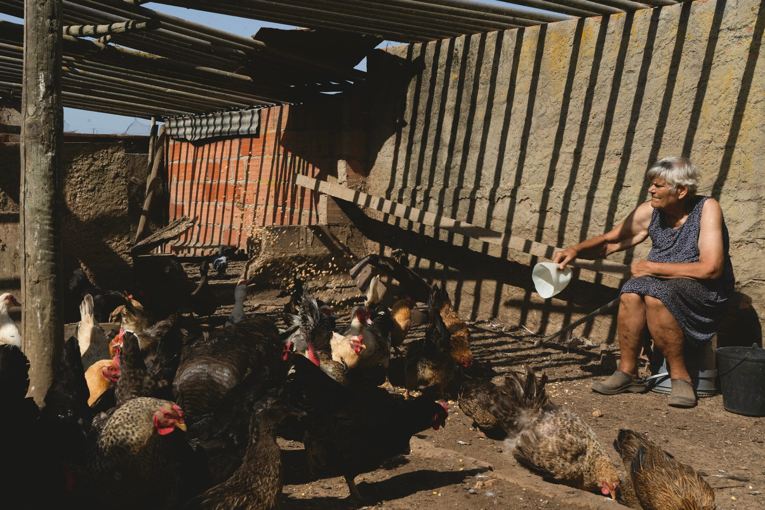 3.º prémio do IX concurso de fotografia do município de Santiago do Cacém