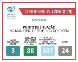Casos Confirmados Ativos, cumulativo, incidência e Óbitos 25.07.2021