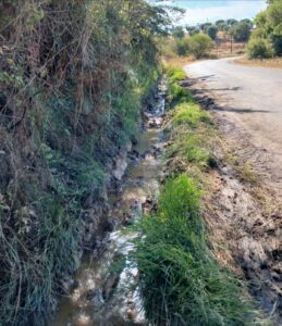 20260714_S_DOMINGOS_CAMINHO_MUN_1075_OBRAS_foto_CMSC_PCC_sel (1)