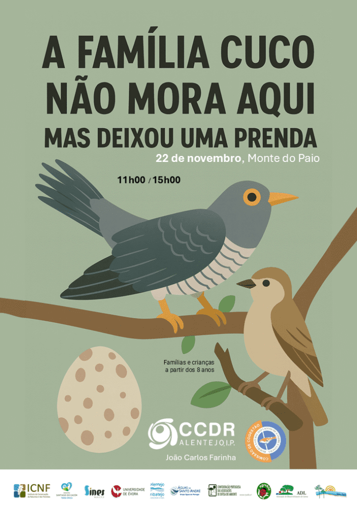 Atividade Monte do Paio