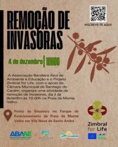 Ação de voluntariado para remoção de acácias