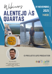 Alentejo às Quartas 19.11.25