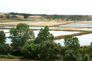 Freguesia de S. Domingos