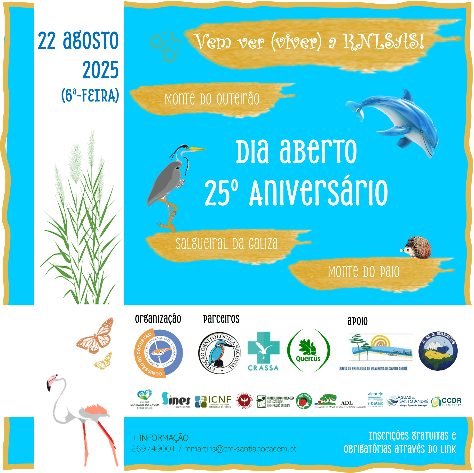 Cartaz 25º aniversário da RNLSAS