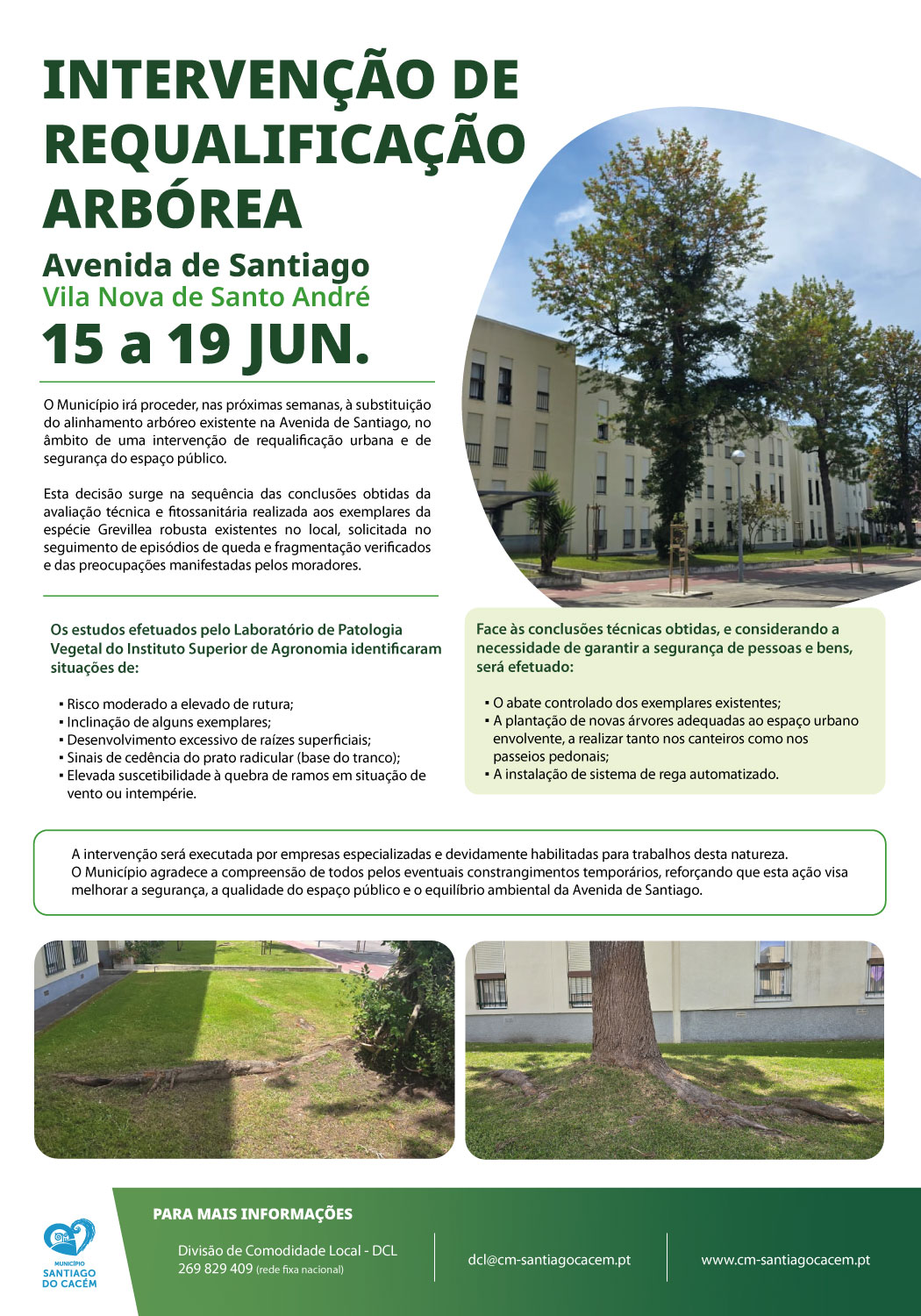 Intervenção de Requalificação Arbórea - Vila Nova de Santo André