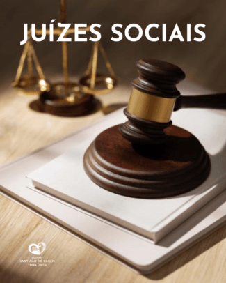 Juizes sociais redes
