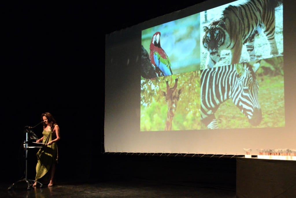 Premios_Turismo_Alentejo_Ribatejo_2016_Badoca_ParK_foto_CMSC (11)