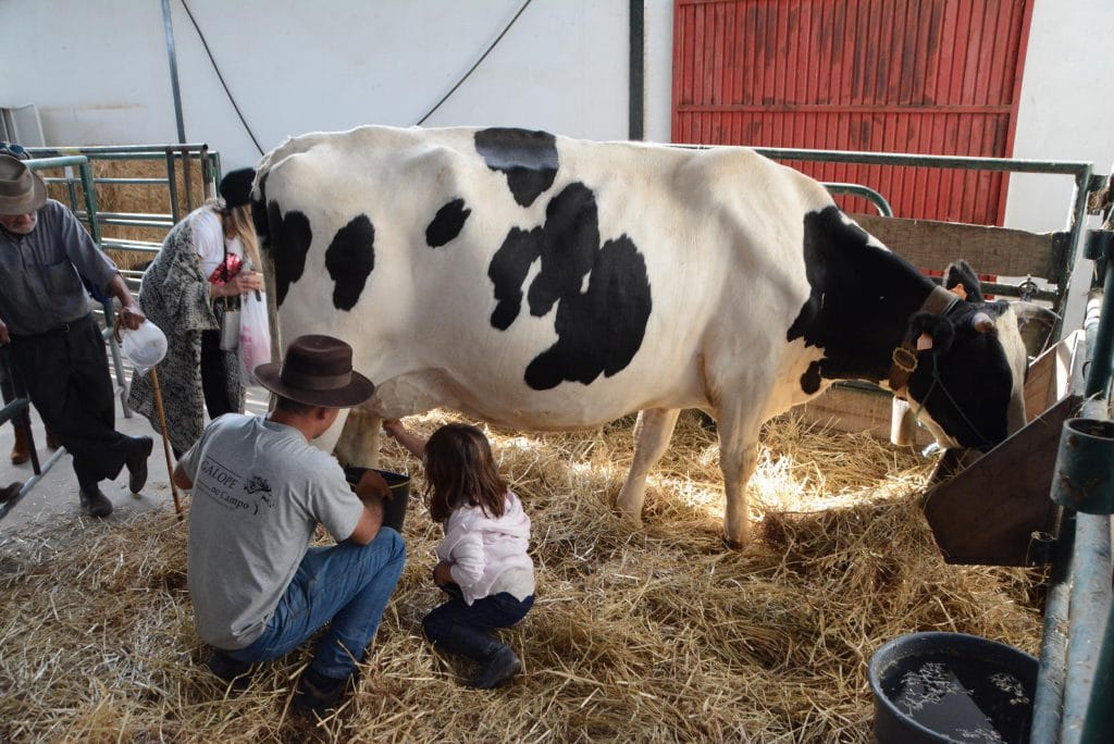 SANTIAGRO_2016_27_maio_foto_CMSC (312)