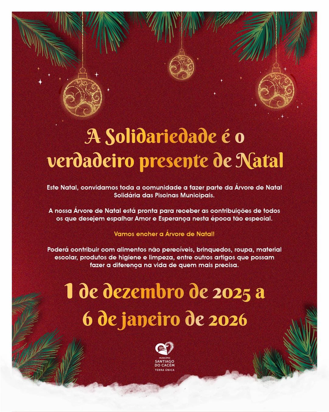 árvore de natal solidária_piscinas municipais